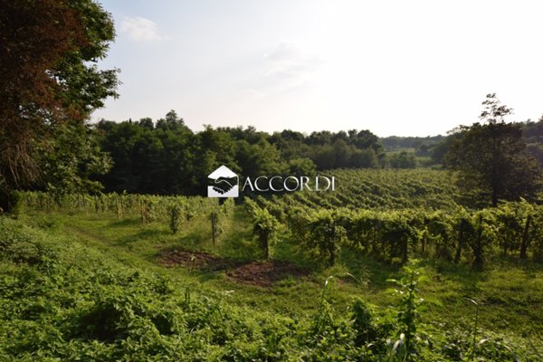 terreno agricolo in vendita a Montebelluna