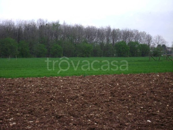 terreno agricolo in vendita a Montebelluna in zona Busta
