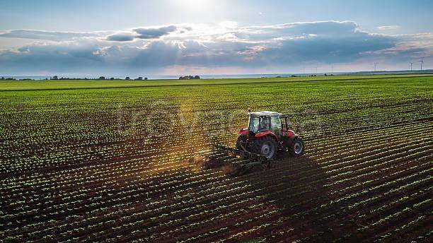 terreno agricolo in vendita a Montebelluna