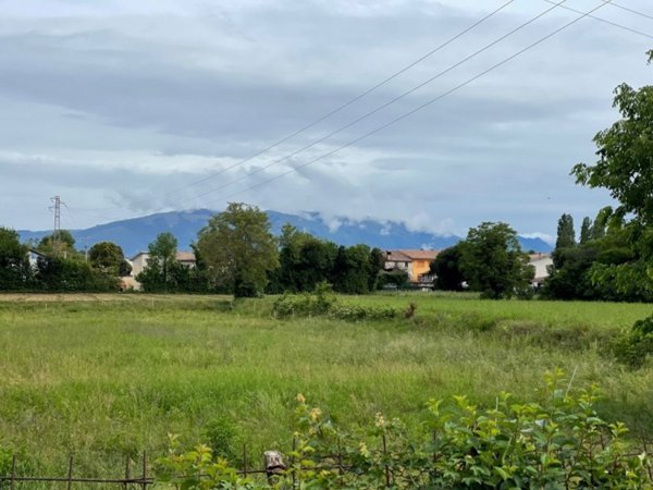 terreno agricolo in vendita a Montebelluna in zona Contea
