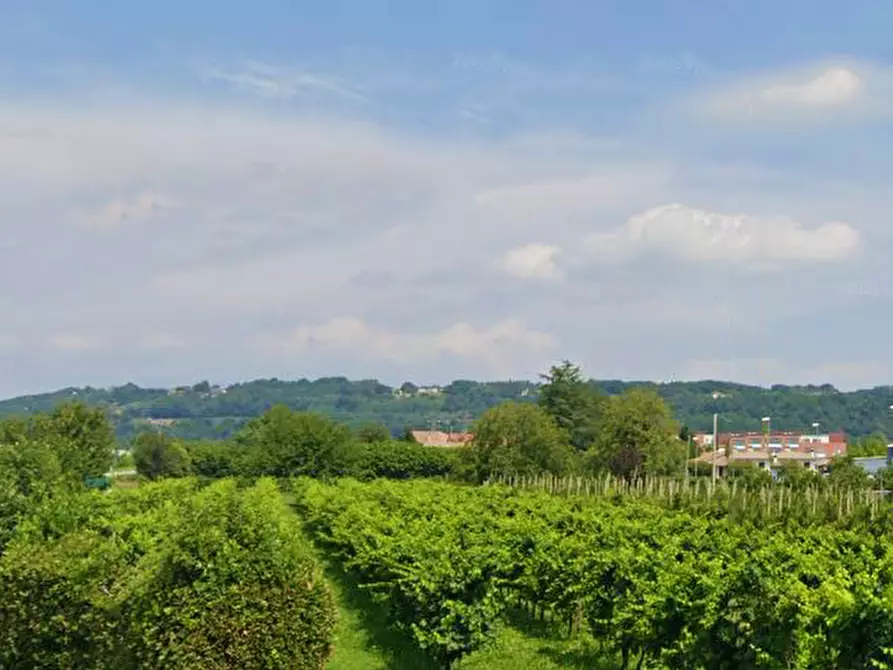 terreno agricolo in vendita a Montebelluna