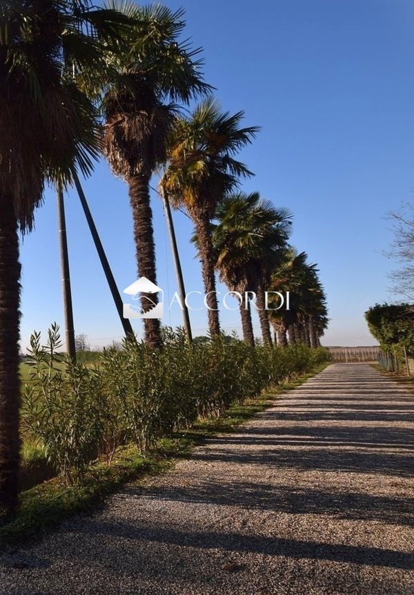 casa indipendente in vendita a Montebelluna