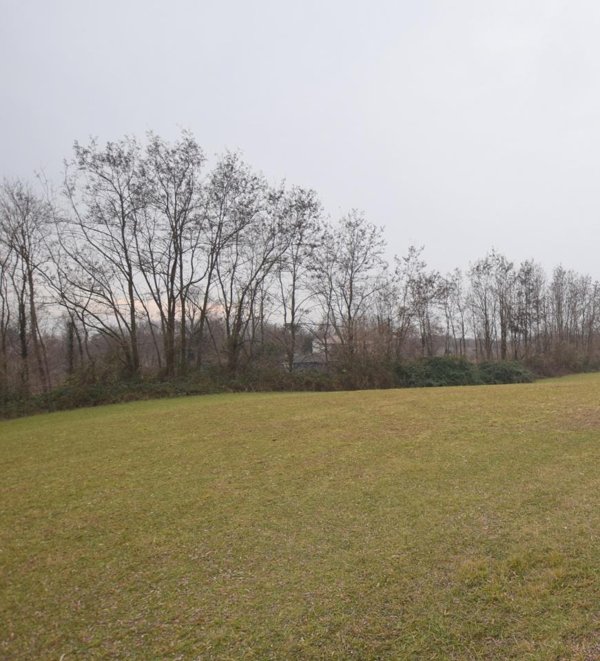 negozio in vendita a Montebelluna