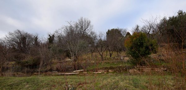 negozio in vendita a Montebelluna