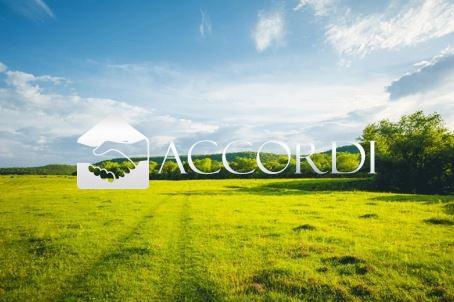 negozio in vendita a Montebelluna in zona Mercato Vecchio