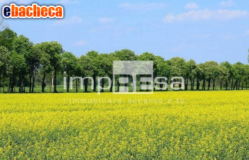 terreno agricolo in vendita a Montebelluna in zona Caonada
