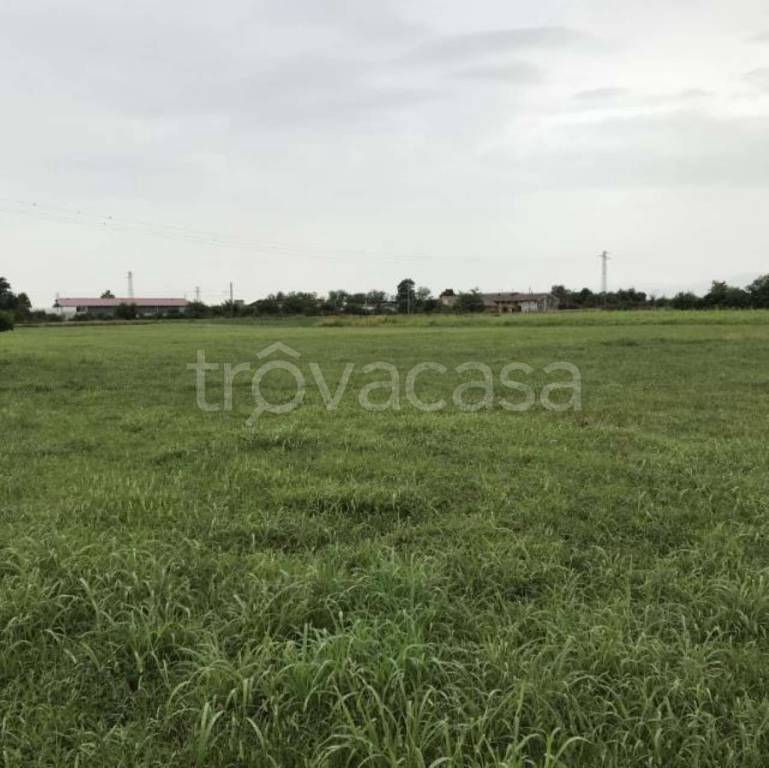 terreno agricolo in vendita a Montebelluna