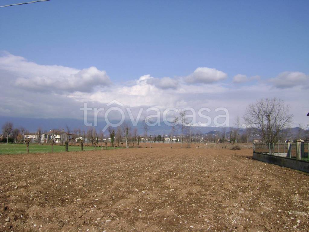 terreno agricolo in vendita a Montebelluna in zona Busta