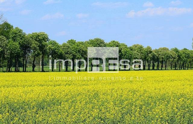 terreno agricolo in vendita a Montebelluna in zona Caonada