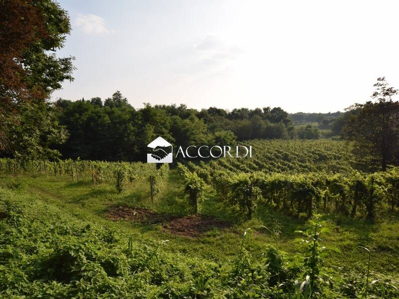 terreno agricolo in vendita a Montebelluna