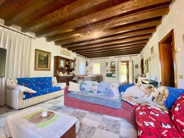 casa indipendente in vendita a Montebelluna in zona Contea