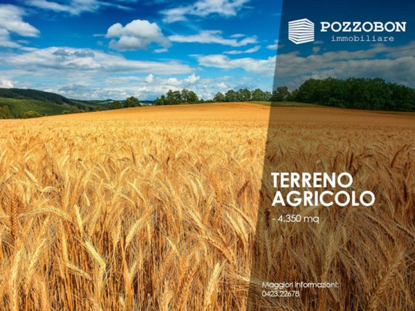 terreno agricolo in vendita a Montebelluna in zona Contea