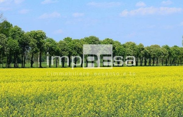 terreno agricolo in vendita a Montebelluna in zona Caonada