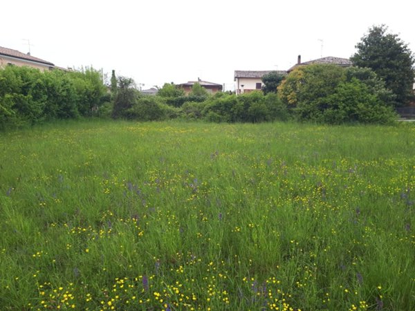 capannone in vendita a Montebelluna