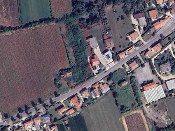 terreno agricolo in vendita a Montebelluna in zona Contea