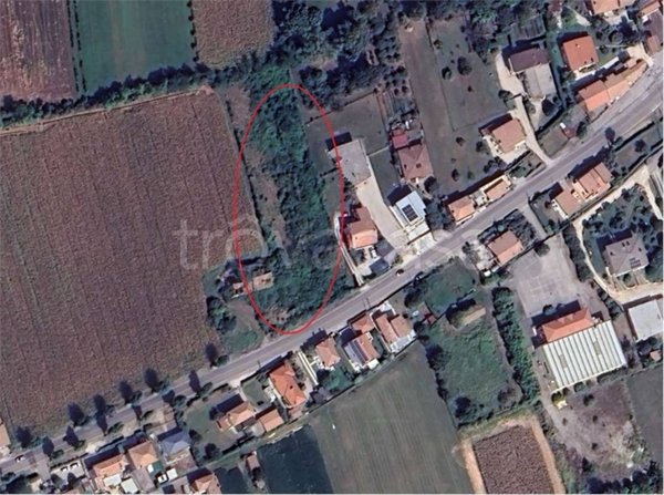 terreno agricolo in vendita a Montebelluna in zona Contea