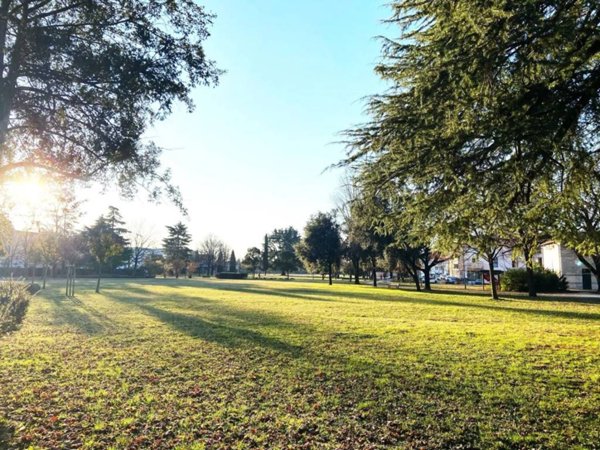 appartamento in vendita a Montebelluna