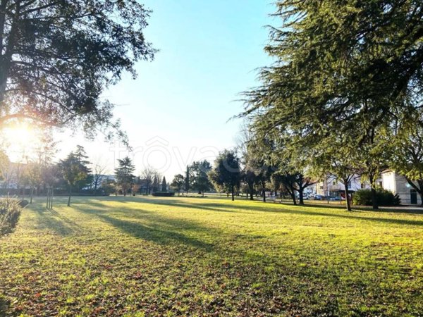 appartamento in vendita a Montebelluna