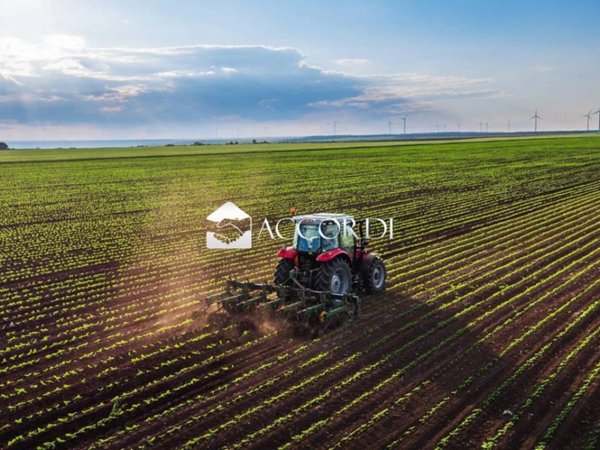 terreno agricolo in vendita a Montebelluna in zona Sant'Andrea