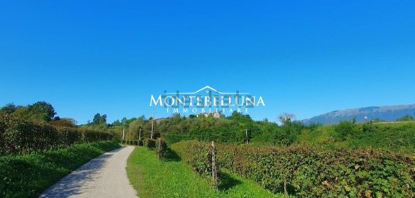 esavano in vendita a Montebelluna