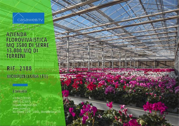 negozio in vendita a Montebelluna in zona La Pieve