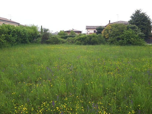 capannone in vendita a Montebelluna