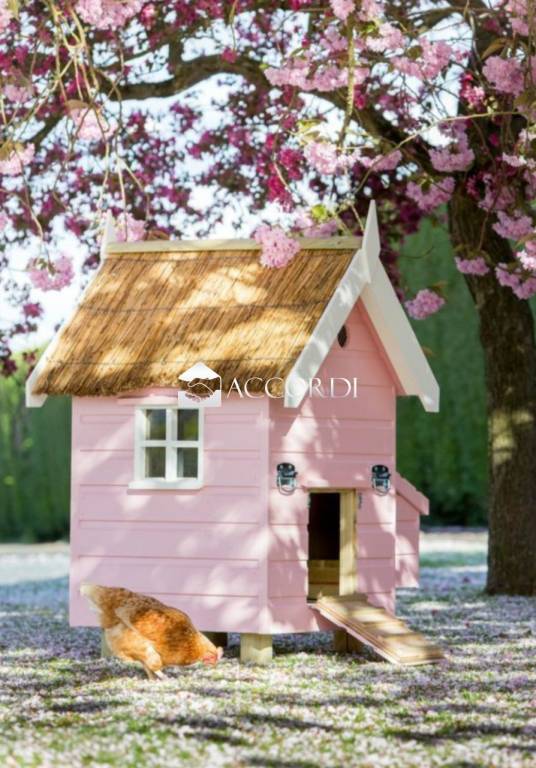 casa indipendente in vendita a Montebelluna