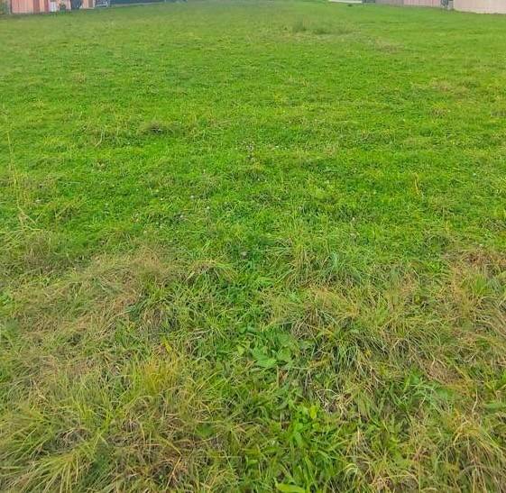 terreno agricolo in vendita a Montebelluna