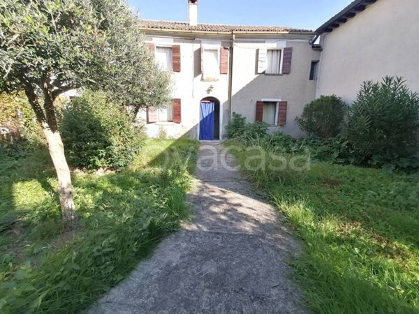 esavano in vendita a Montebelluna in zona Busta