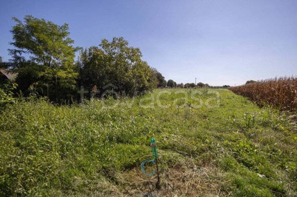 terreno agricolo in vendita a Montebelluna in zona Contea