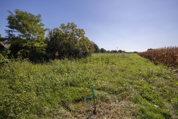 terreno edificabile in vendita a Montebelluna in zona Contea