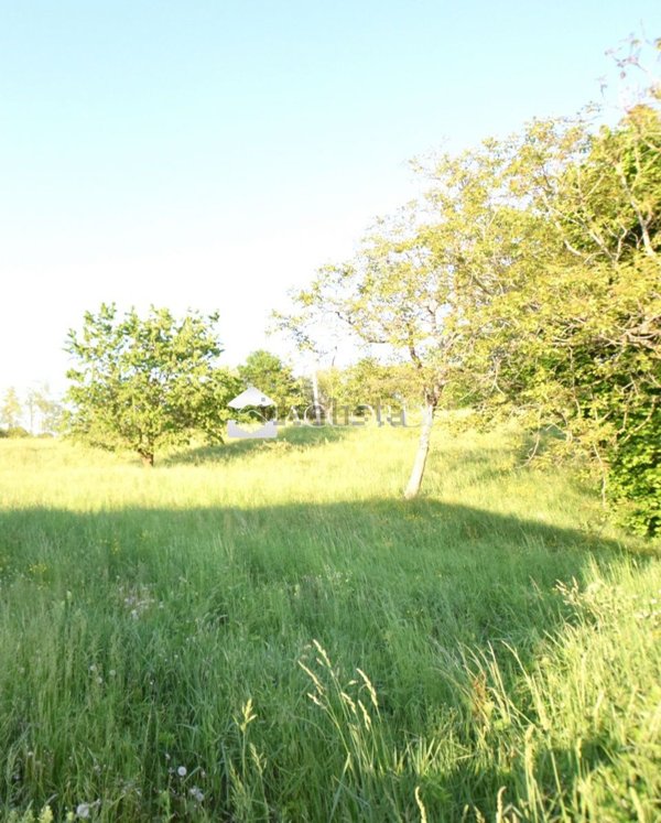 casa indipendente in vendita a Montebelluna