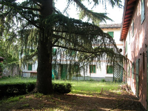 casa indipendente in vendita a Montebelluna