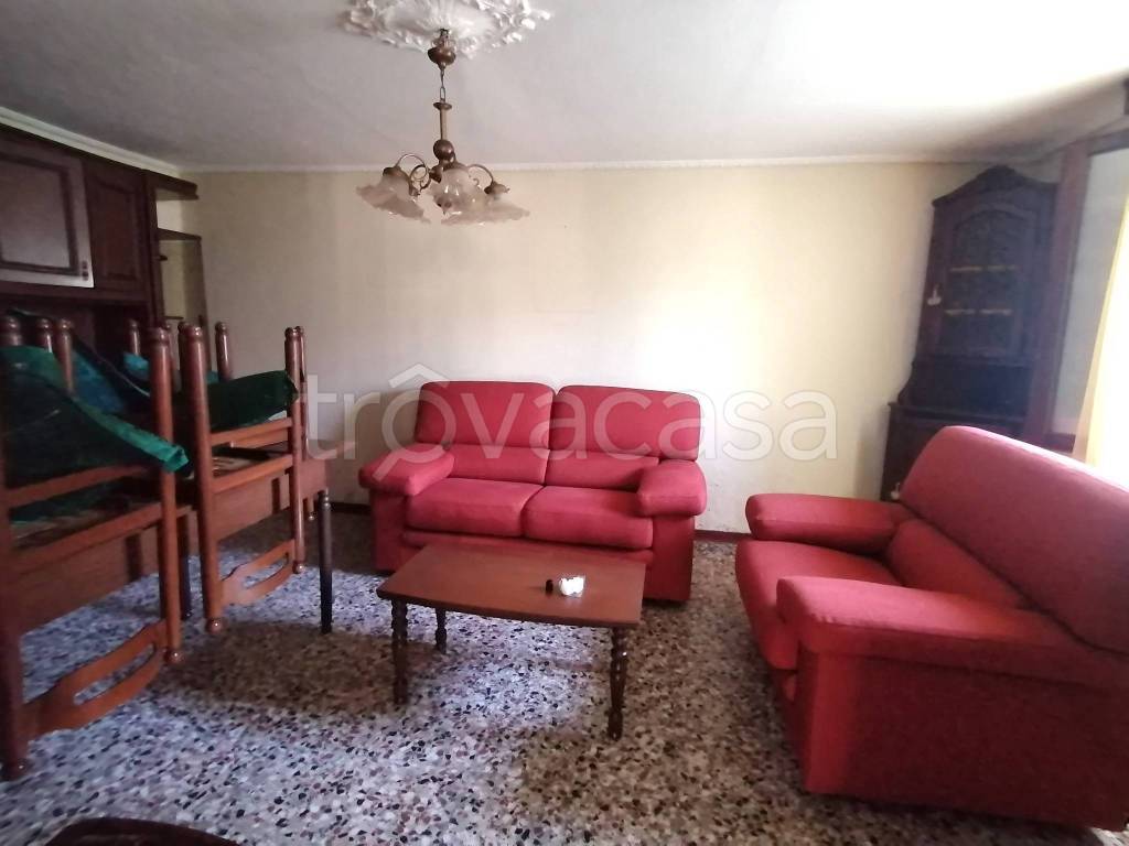 esavano in vendita a Montebelluna in zona Busta