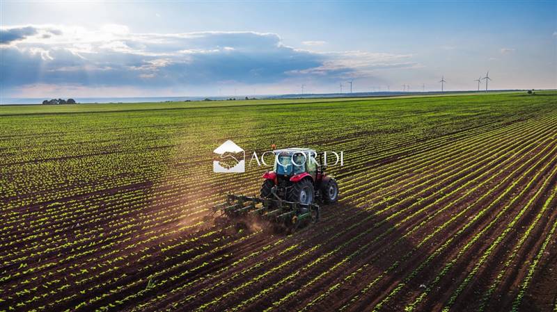 terreno agricolo in vendita a Montebelluna in zona Sant'Andrea