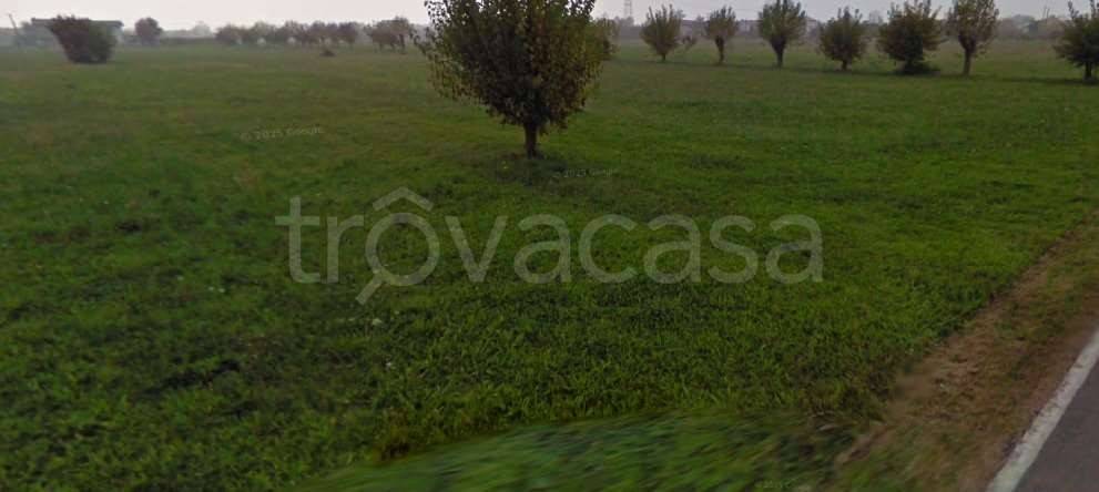 terreno agricolo in vendita a Montebelluna in zona San Gaetano