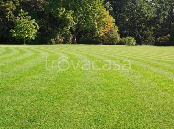 terreno agricolo in vendita a Montebelluna in zona San Gaetano