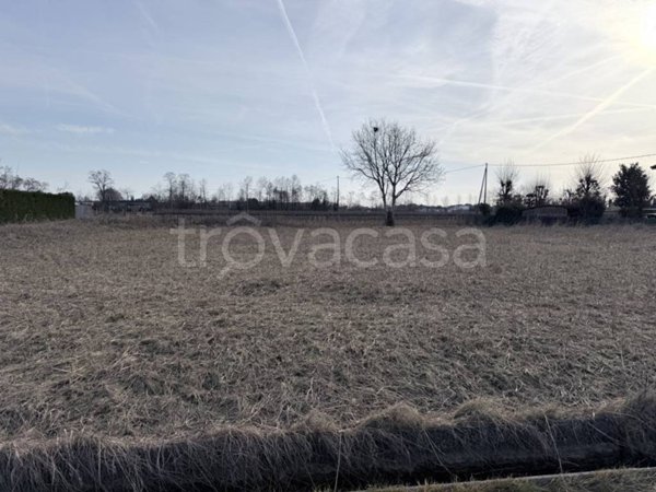 terreno agricolo in vendita a Montebelluna in zona San Gaetano