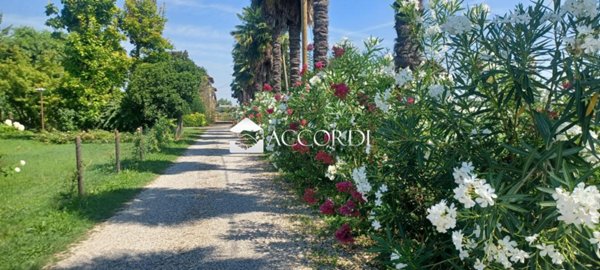 casa indipendente in vendita a Montebelluna in zona San Gaetano
