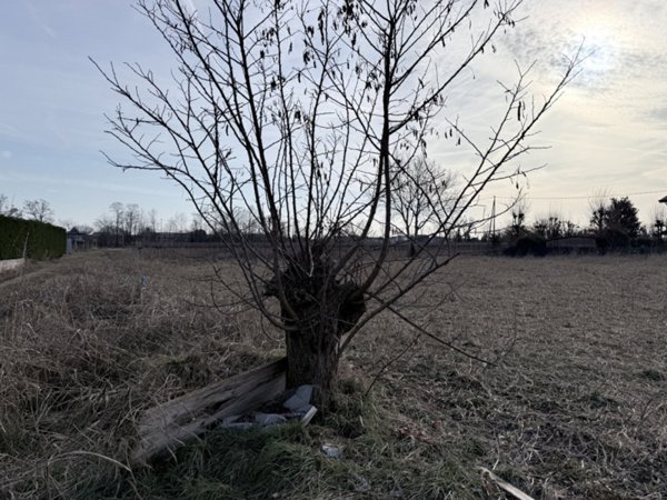 casa indipendente in vendita a Montebelluna in zona San Gaetano