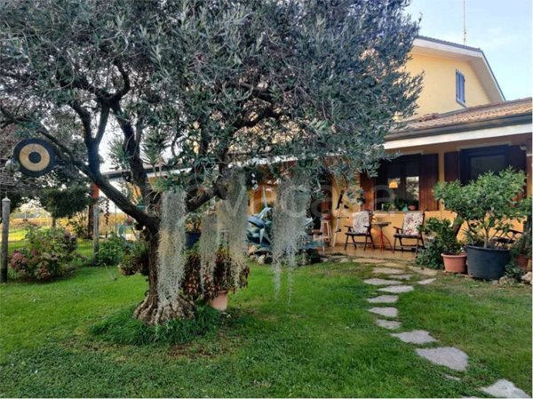 casa indipendente in vendita a Montebelluna