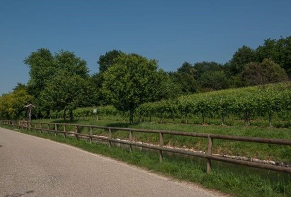 terreno edificabile in vendita a Montebelluna in zona Caonada