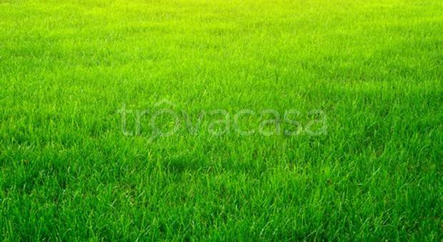 terreno agricolo in vendita a Montebelluna