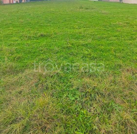 casa indipendente in vendita a Montebelluna