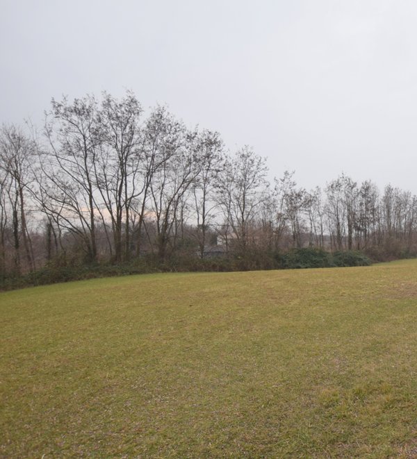 terreno agricolo in vendita a Montebelluna
