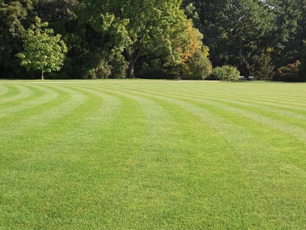 casa indipendente in vendita a Montebelluna in zona San Gaetano