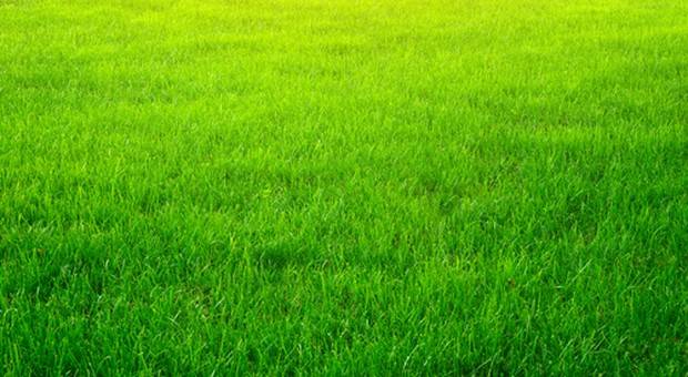 terreno agricolo in vendita a Montebelluna