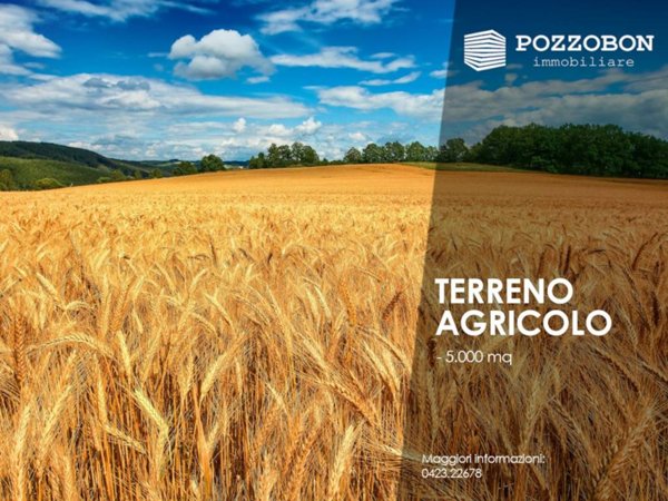 terreno agricolo in vendita a Montebelluna