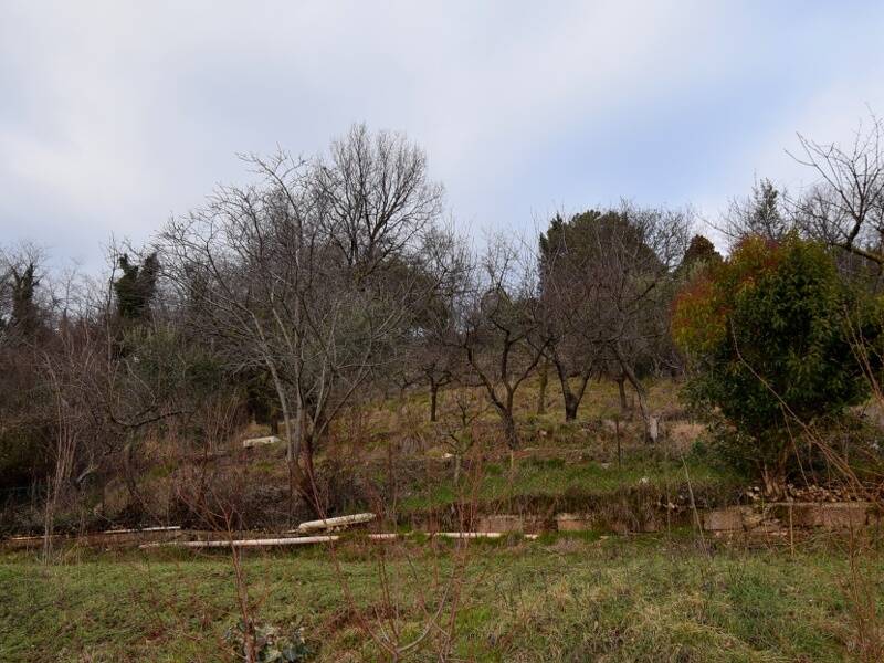 terreno agricolo in vendita a Montebelluna