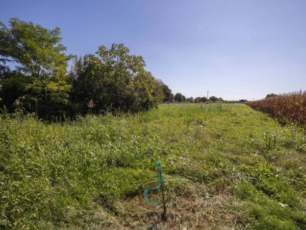 terreno edificabile in vendita a Montebelluna in zona Contea